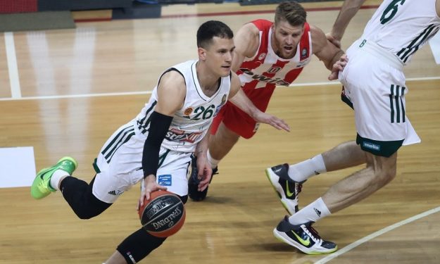 nedovic