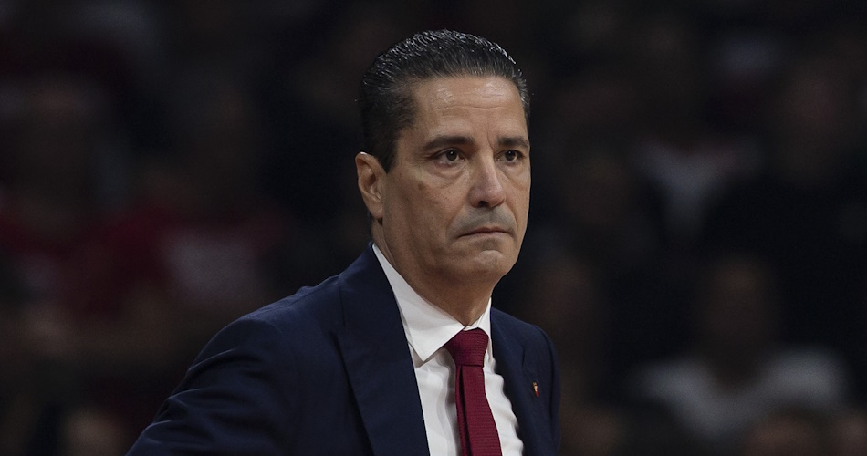 giannis-sfairopoulos-zvezda