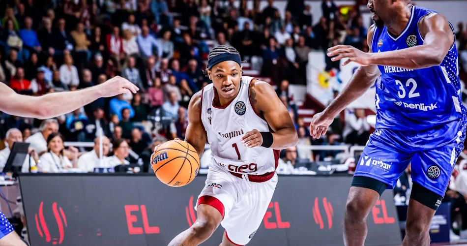 jd-notae-trapani-shark