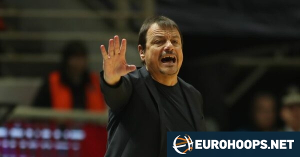 Ataman prefers ‘real’ Panathinaikos fans, but ignores others: “I don’t care”