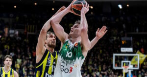 azuolas-tubelis-zalgiris